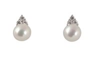 Orecchini Bluamante Donna in Argento Perla BOR947ER7